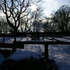 Fence in the Snow