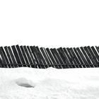 Fence in the snow