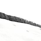 Fence in the snow II