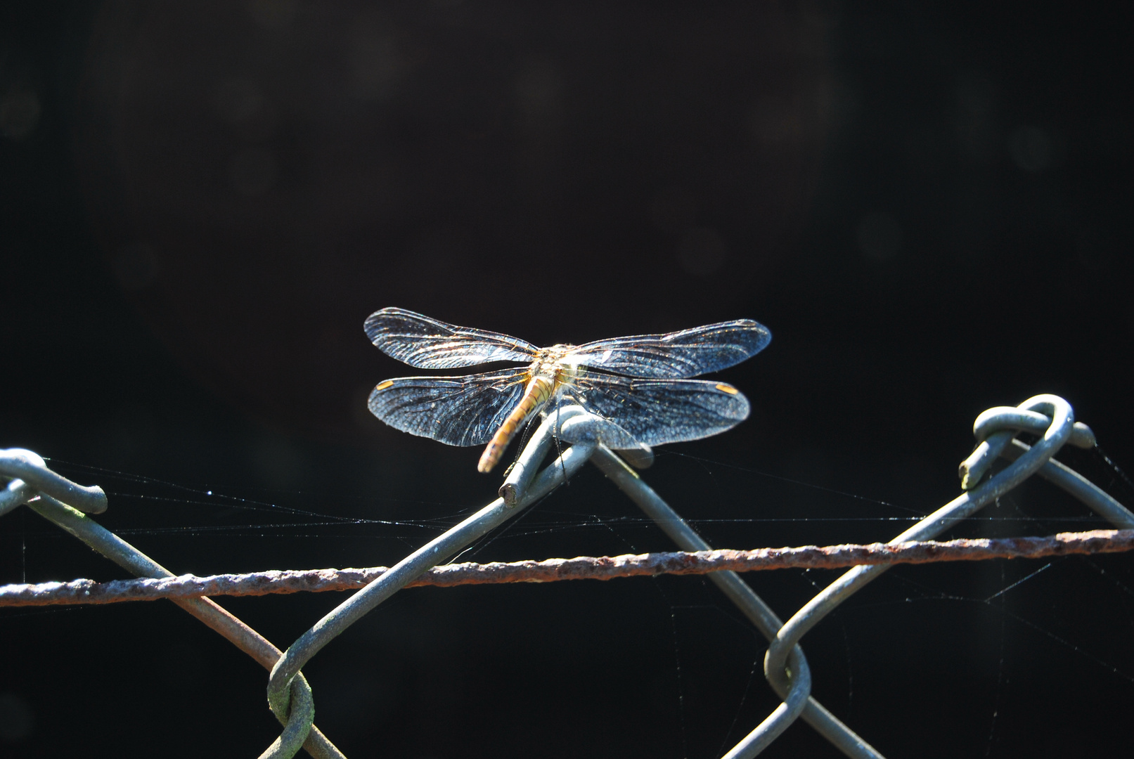 fence landing