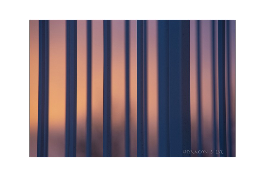 Fence One 