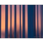 Fence One 