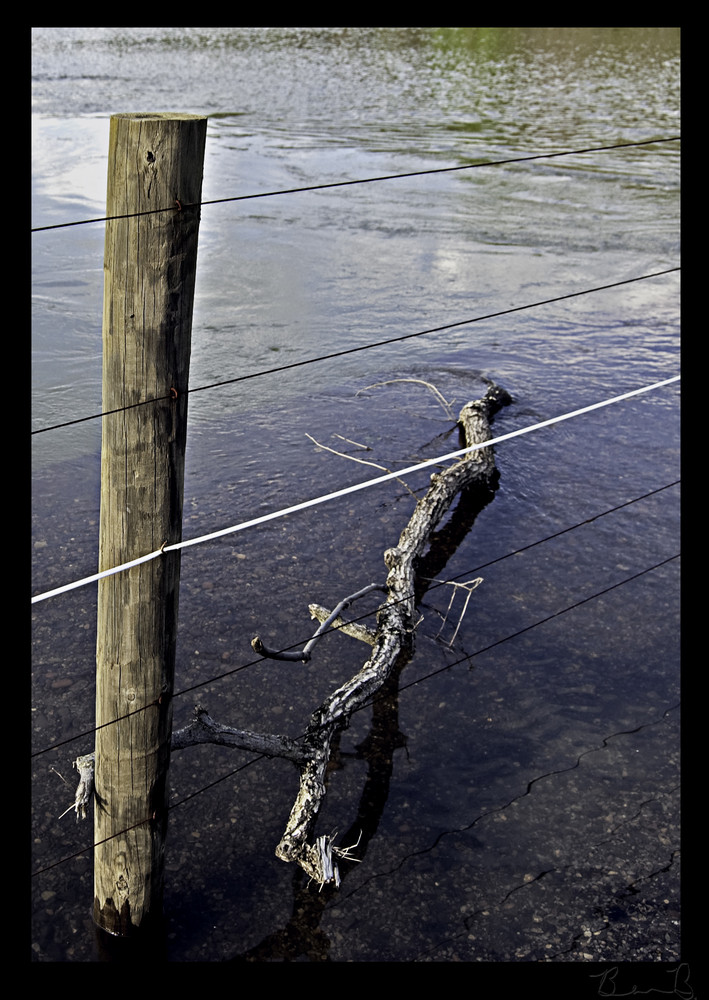 Fence Post