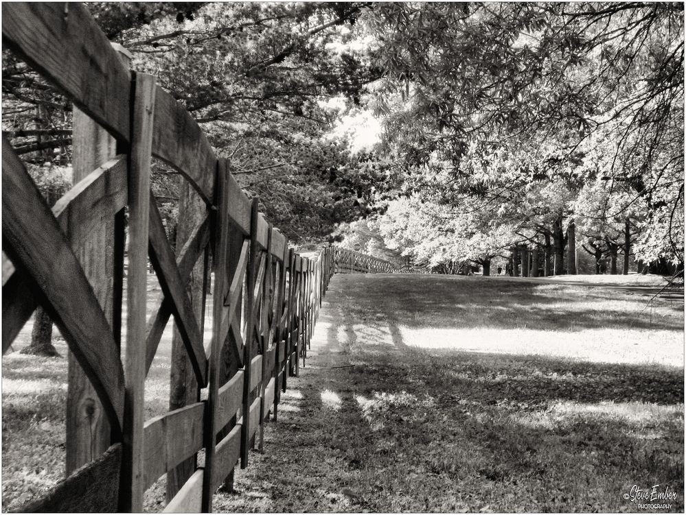 Fence, Trees, and Shadows - A Meadowlark Gardens Springtime Impression 
