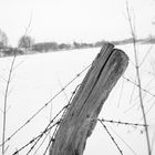 Fenceless