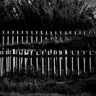 fences