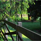 Fences on a Late Afternoon in Spring 