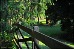 Fences on a Late Afternoon in Spring 