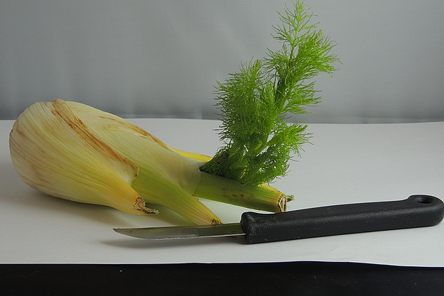 Fenchel