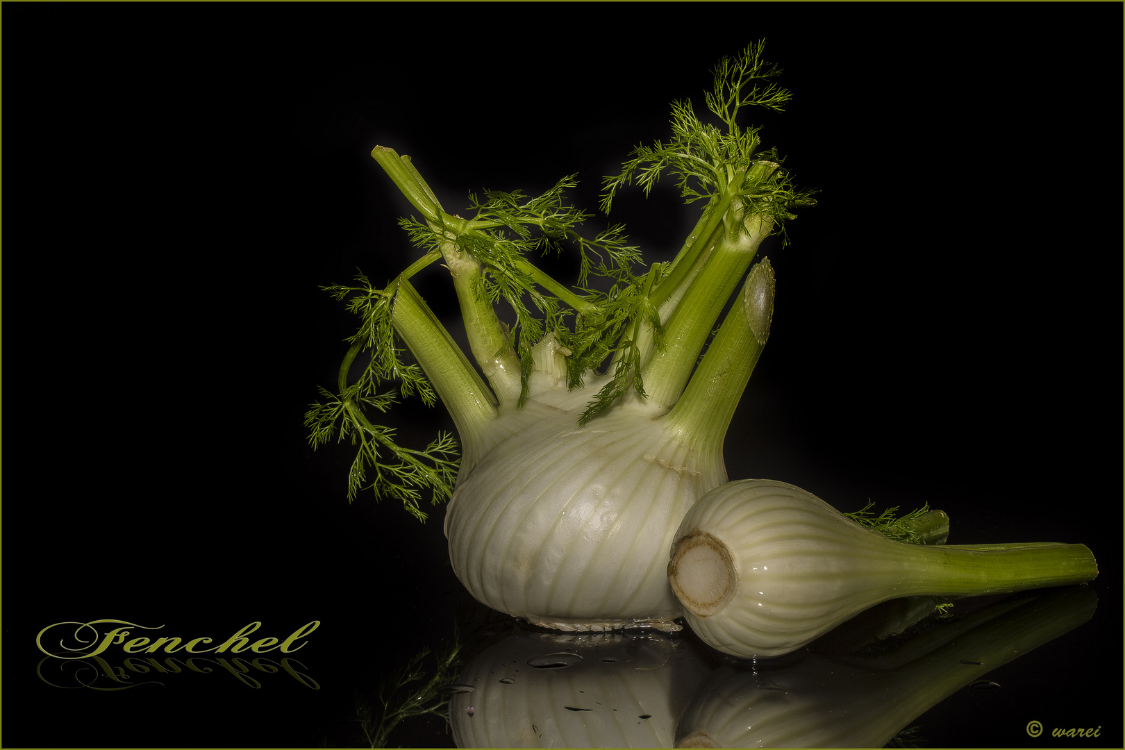 ~ Fenchel ~