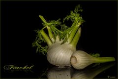 ~ Fenchel ~