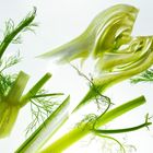 FENCHEL