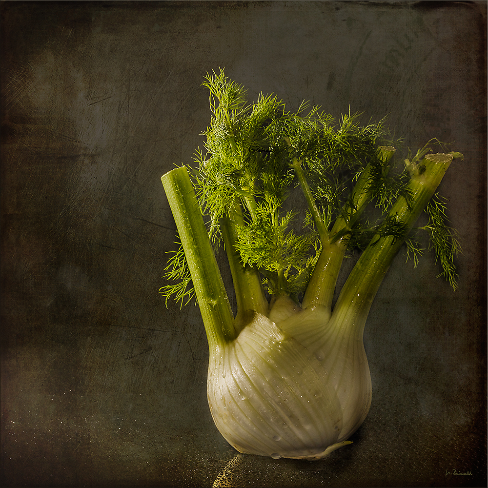 Fenchel Foto &amp; Bild | stillleben, tabletop, früchte Bilder auf ...