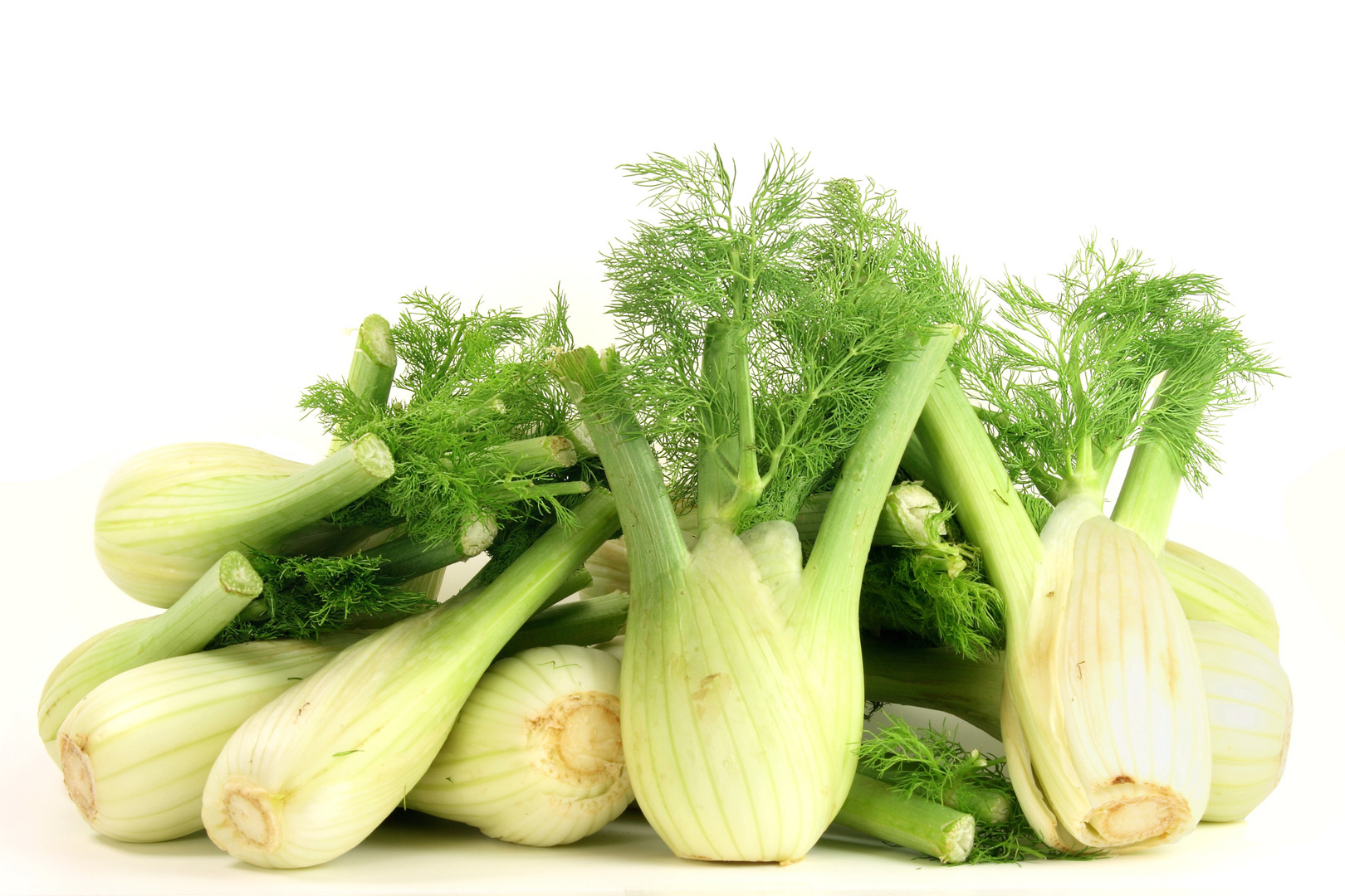 Fenchel a Foto &amp; Bild | stillleben, essen &amp; trinken, obst &amp; gemüse ...