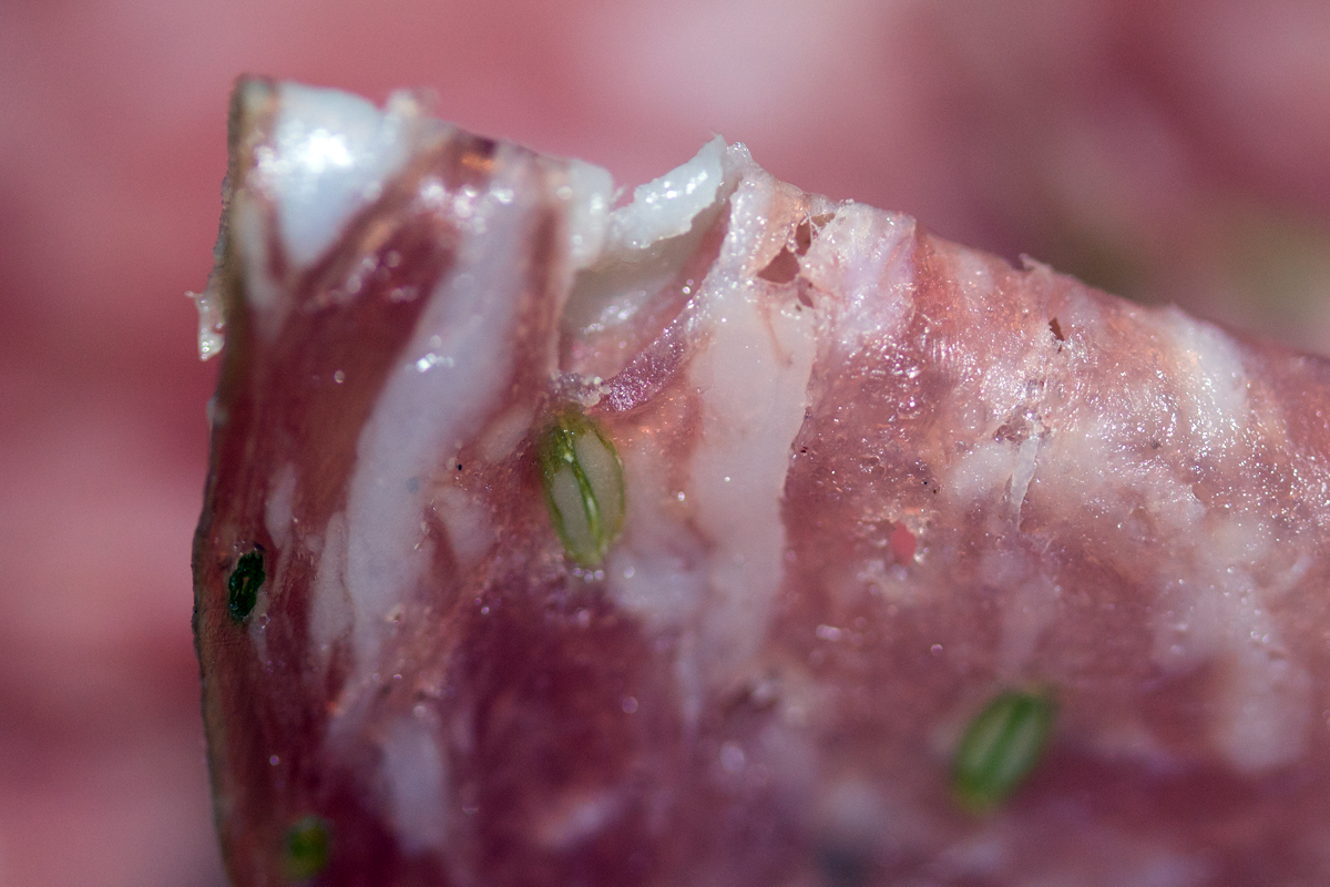 Fenchel Salami MACRO