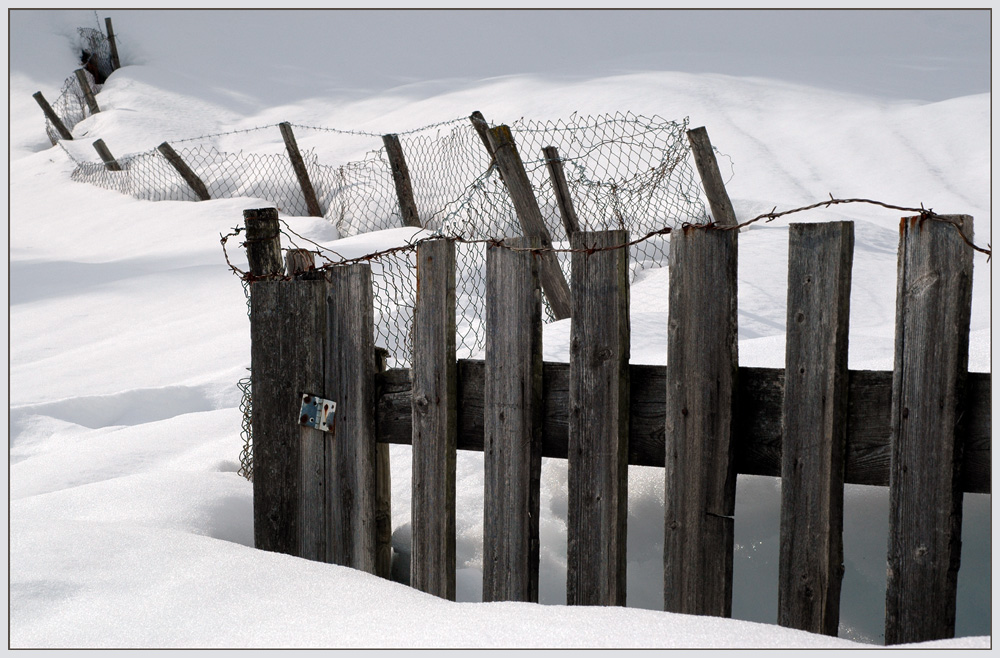 Fencing - Zäune