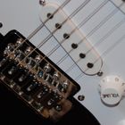 Fender Detail 2