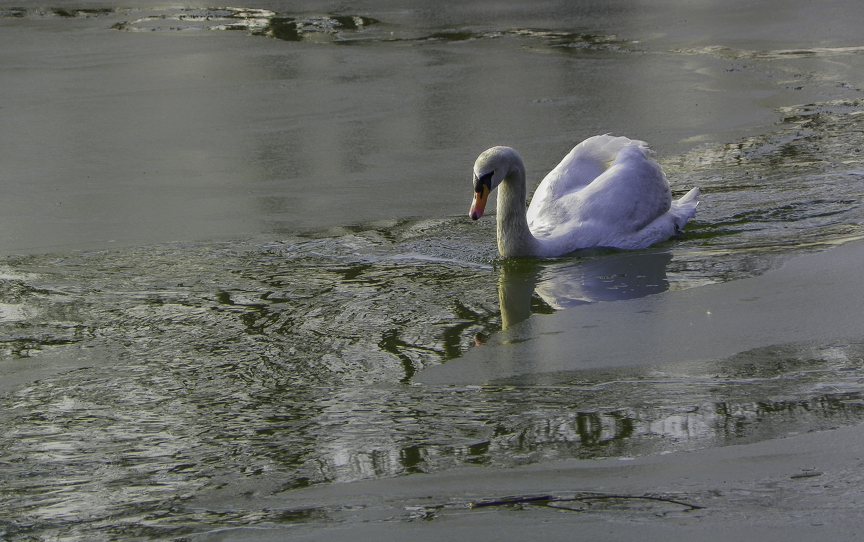 fendre la glace 