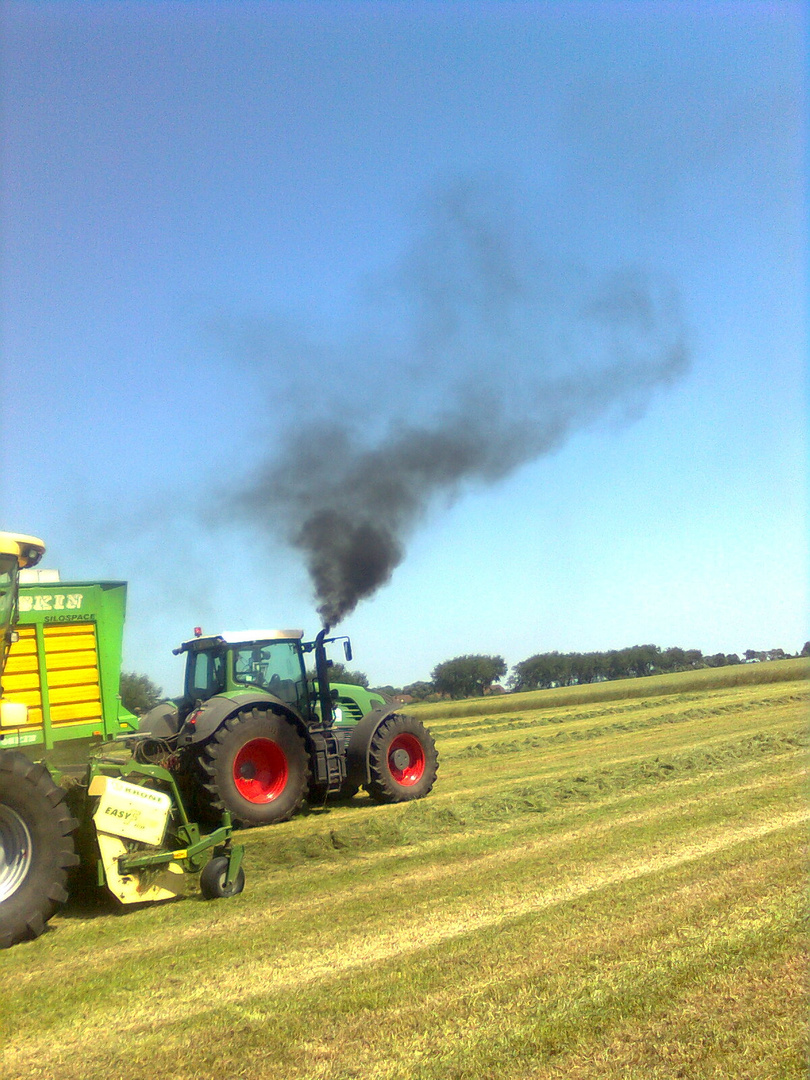 Fendt 924 Bigx V8 im Gras