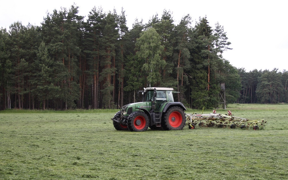 Fendt beim Gras wenden.