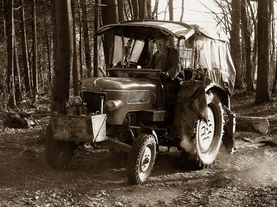 Fendt beim Holzrücken