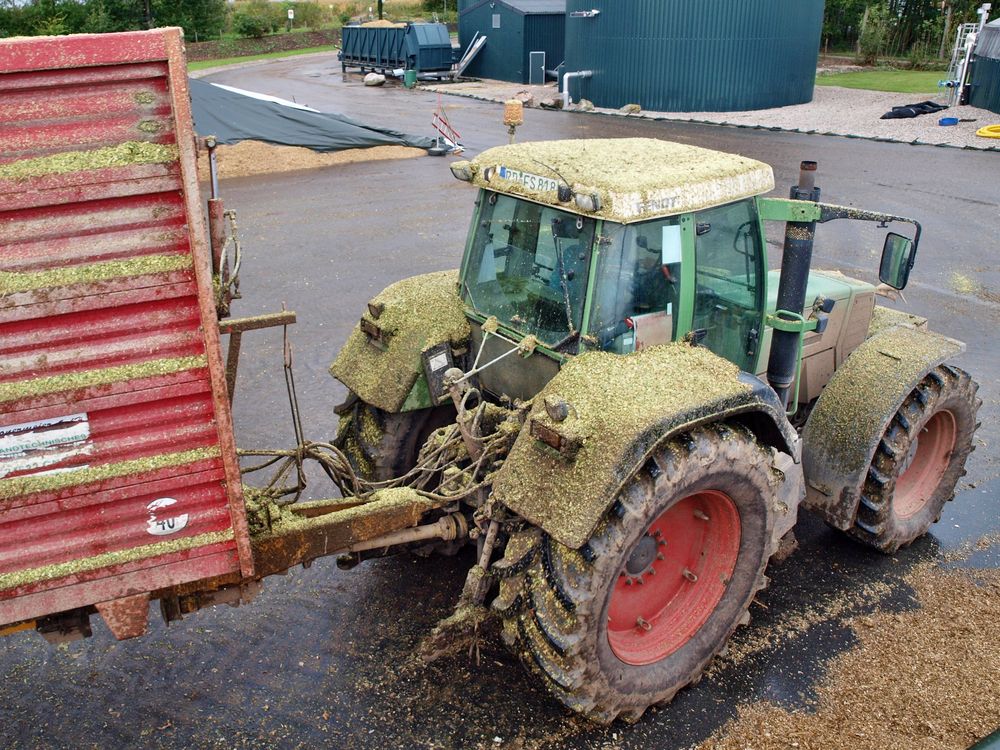 FENDT Favorit 818 mit Patina