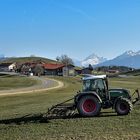 FENDT Vario 312