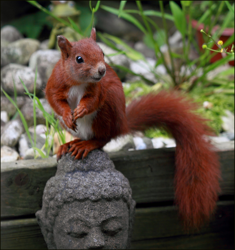 Feng Shui im Garten