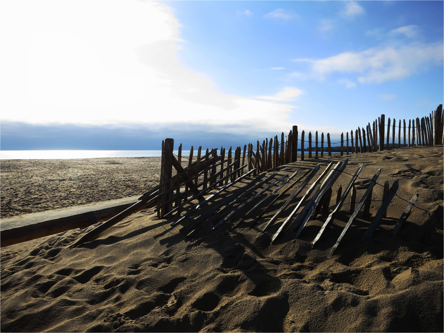 Fense on the beach