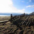 Fense on the beach