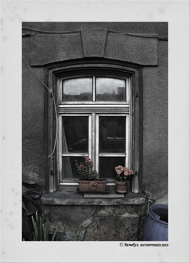 Fenster