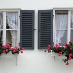 Fenster 2