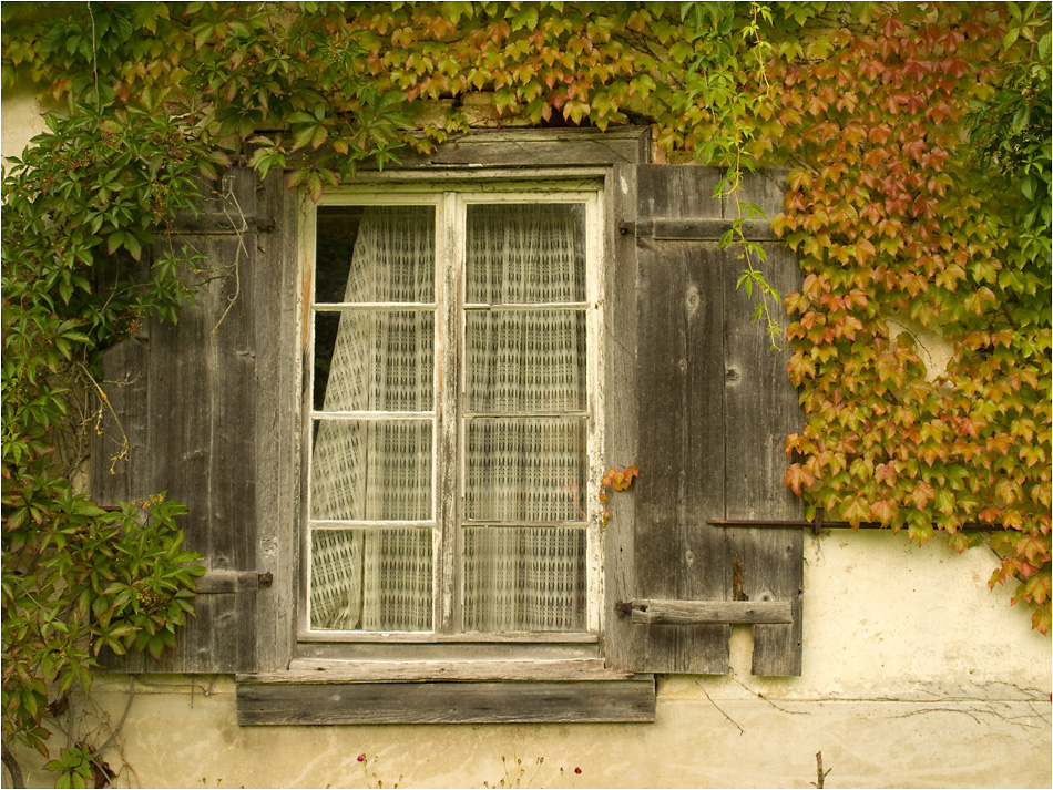 Fenster Foto & Bild rätsel Bilder auf