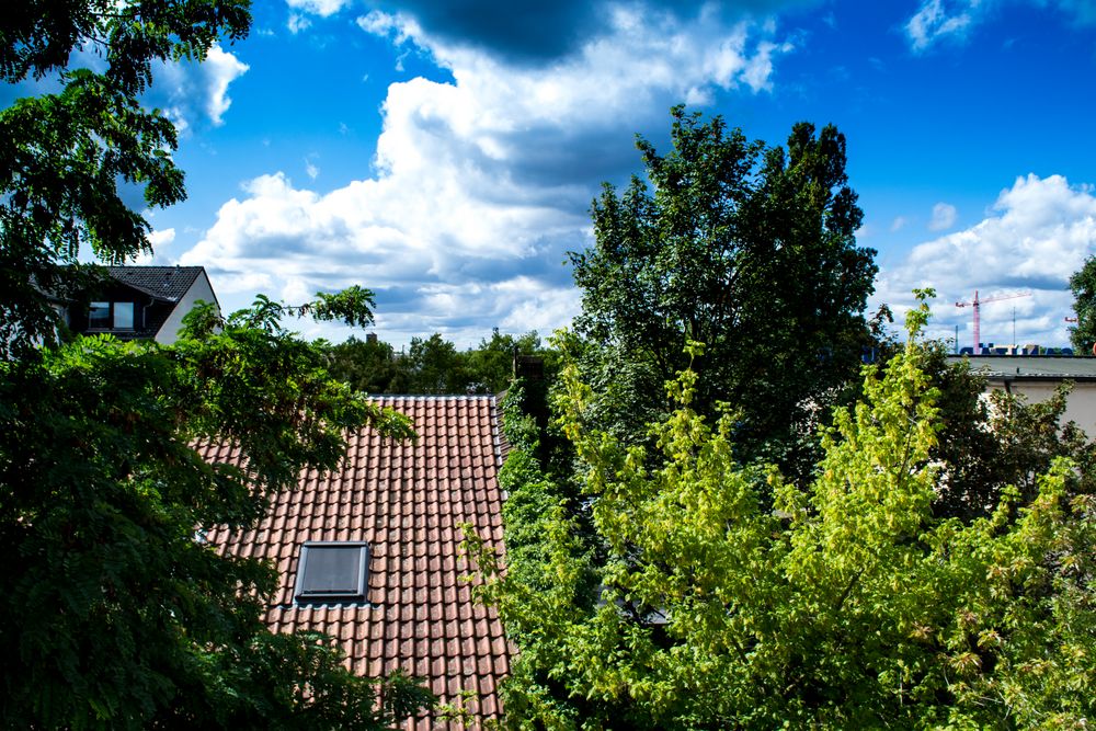 Fenster Foto & Bild outdoor, natur, mannheim Bilder auf