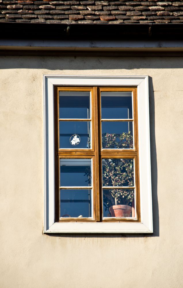 Fenster