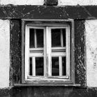 fenster alt