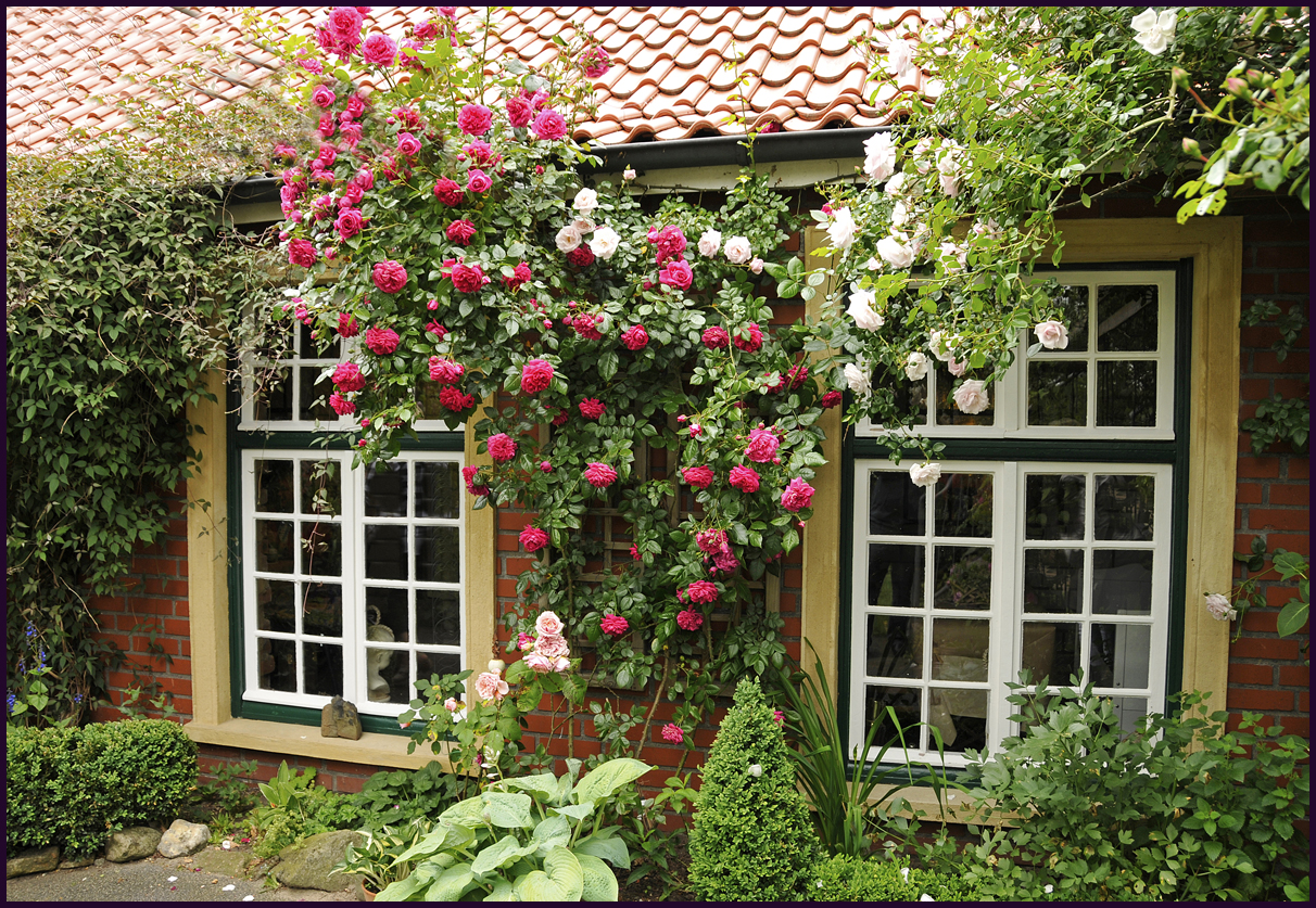 Fenster am Bauernhaus Foto &amp; Bild architektur, ländliche