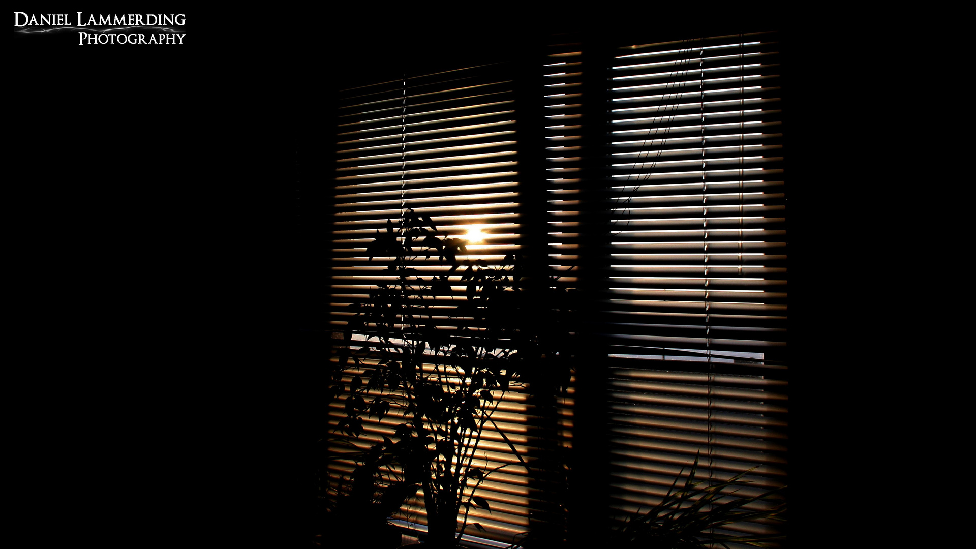 Fenster am Morgen