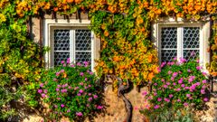 Fenster am Weingut Vincenz Richter in Meissen