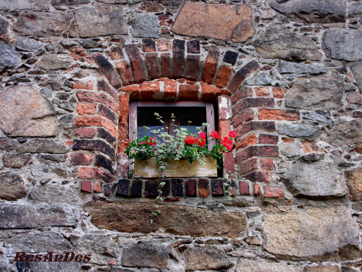 Fenster an der Ortenburg in Bautzen