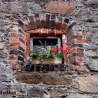 Fenster an der Ortenburg in Bautzen