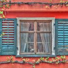 Fenster an der roten Wand