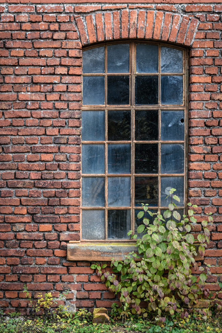 Fenster auf der Carlshütte