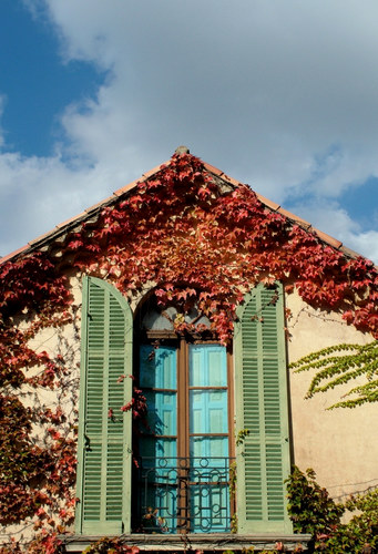 Fenster aux Provence