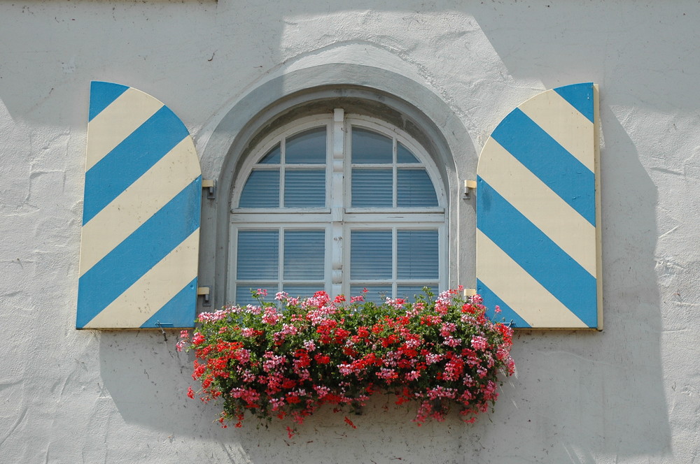 Fenster blau-weiß