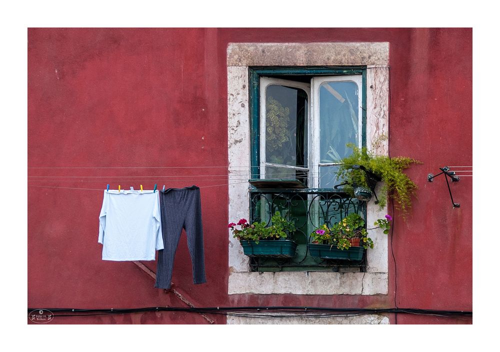 Fenster, Blumen, Wäsche