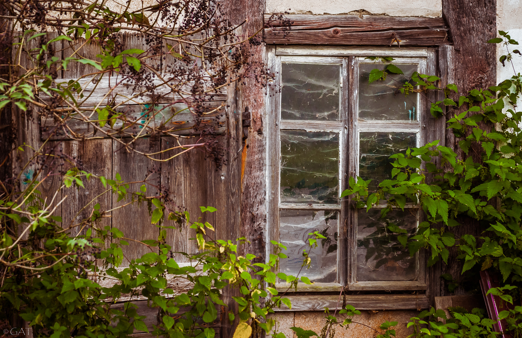 Fenster der alten Scheune ...