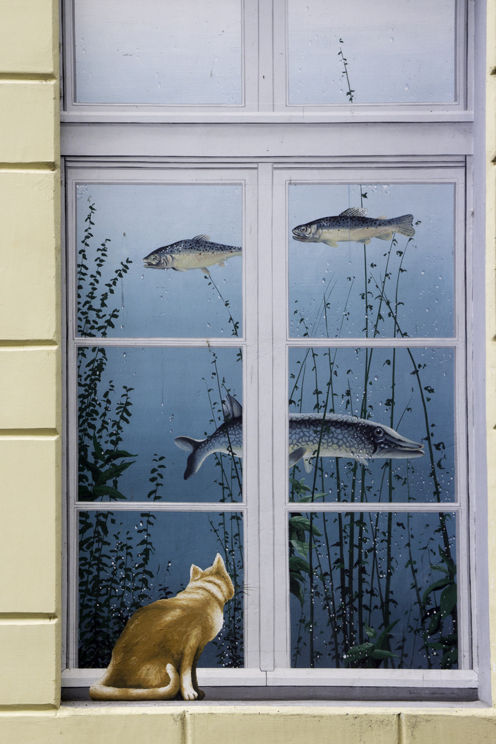 Fenster der Jugendherberge in der Schweiz