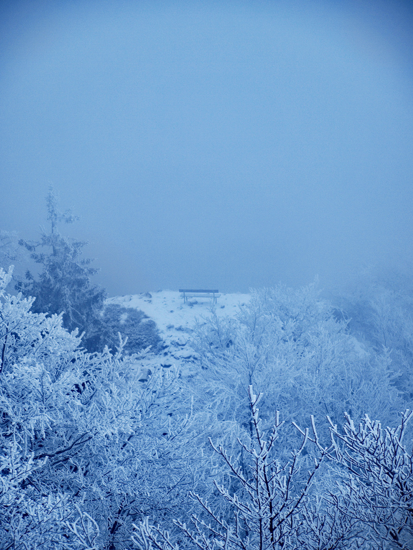 Fenster der Natur - Bank im Nebel