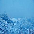 Fenster der Natur - Bank im Nebel